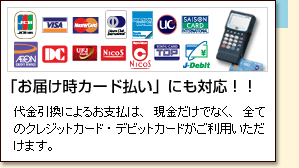 ͂J[hɂΉII